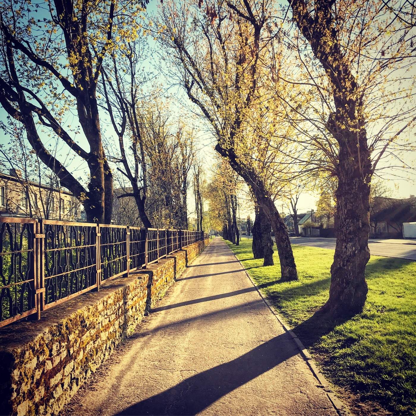 Der Geruch des Herbstes