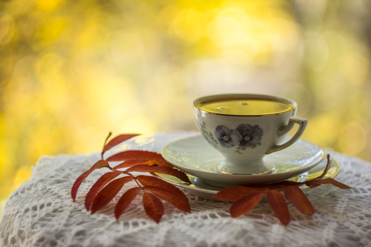 Der Geruch des Herbstes