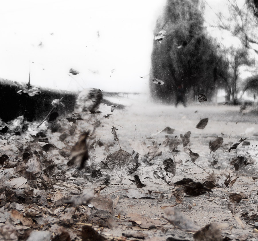 Der Geruch des Herbstes