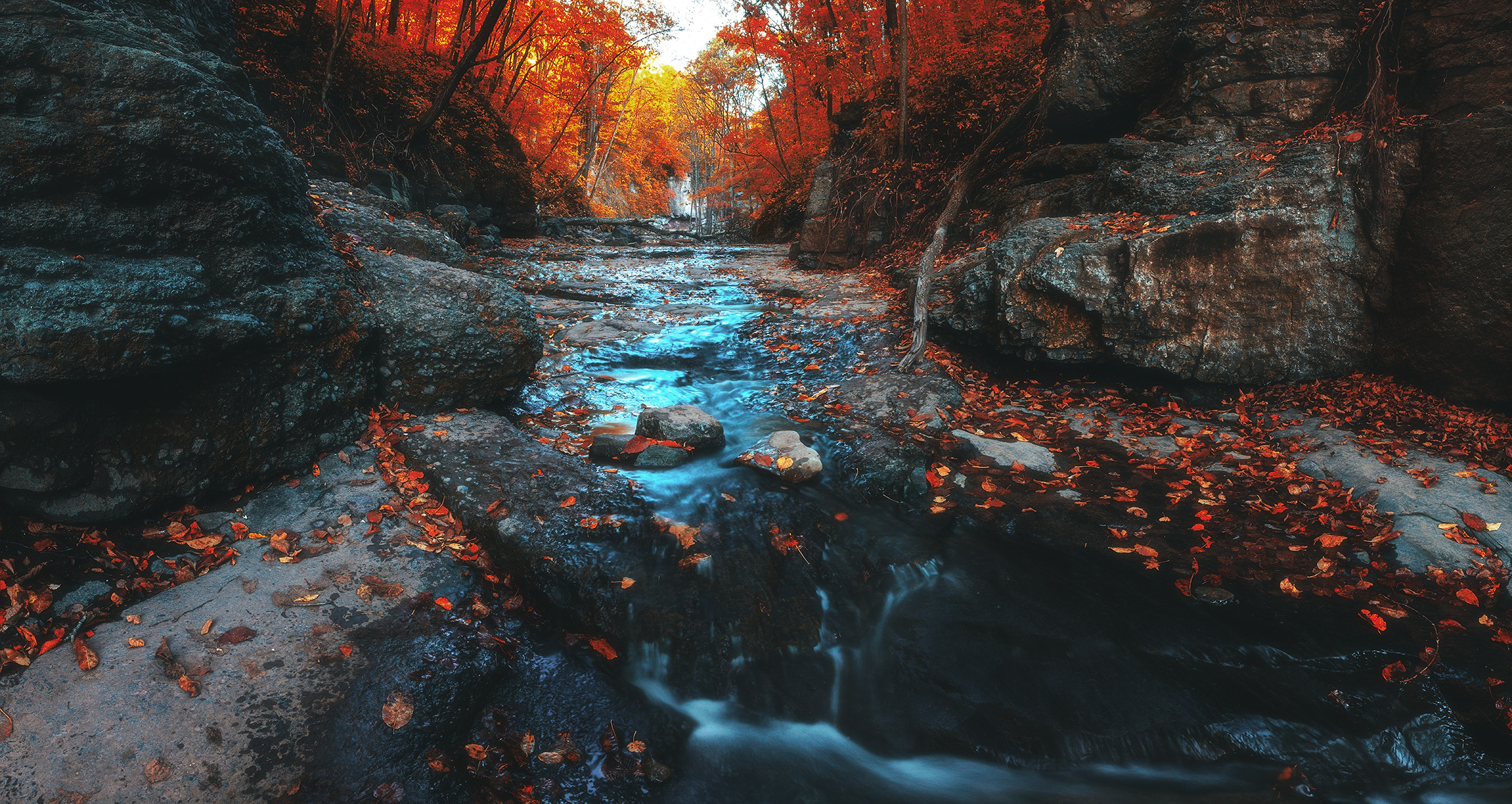 Der Geruch des Herbstes