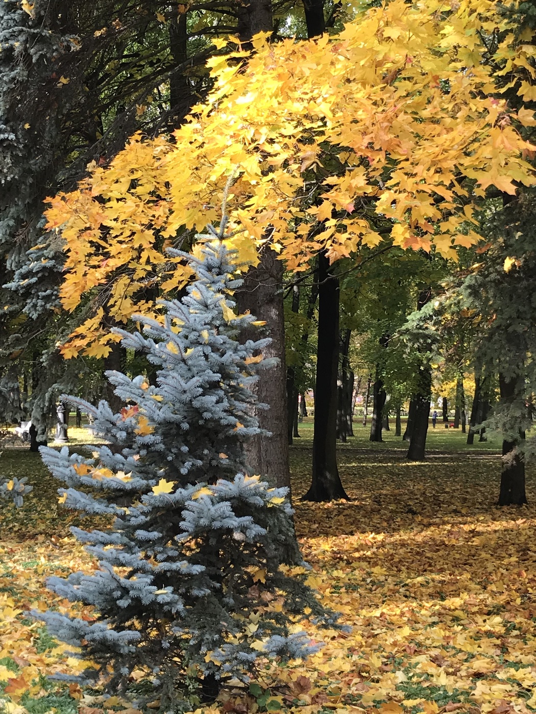 Der Geruch des Herbstes