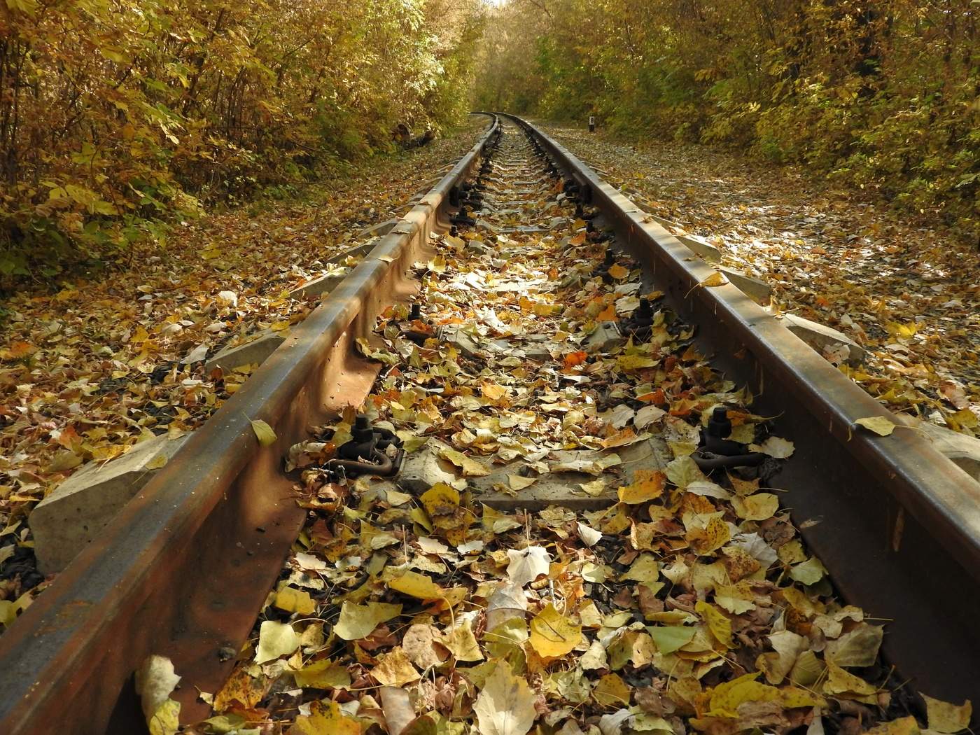 Der Geruch des Herbstes