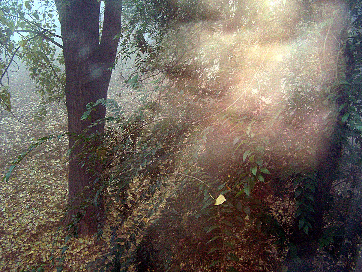 Der Geruch des Herbstes