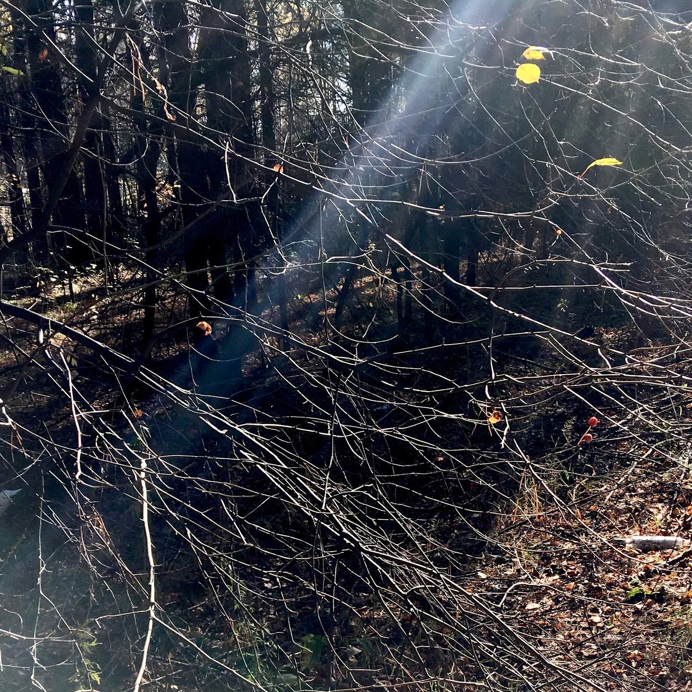 Der Geruch des Herbstes