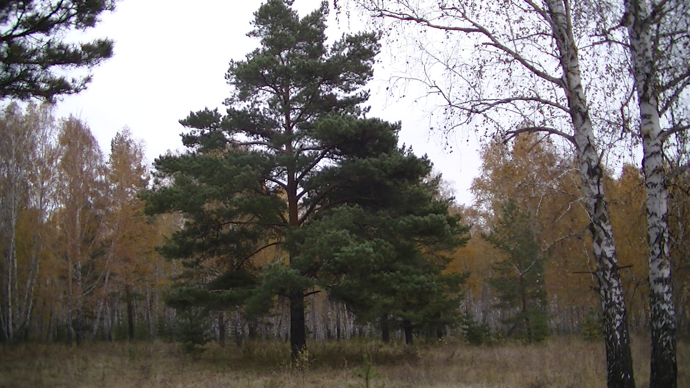 Der Geruch des Herbstes