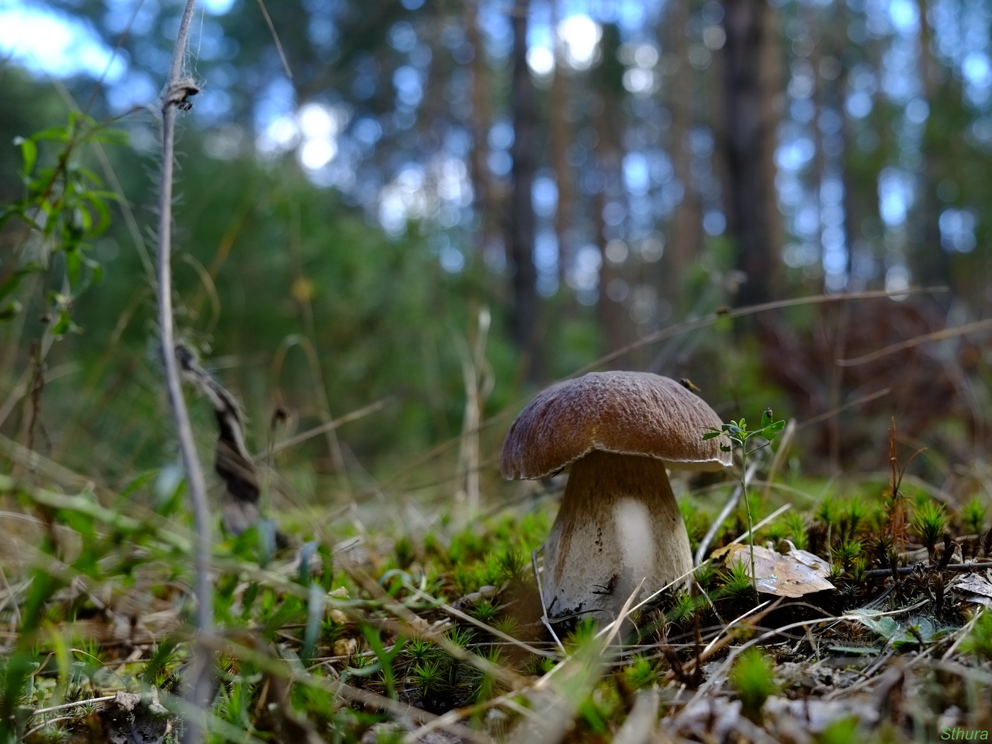 Der Geruch des Herbstes