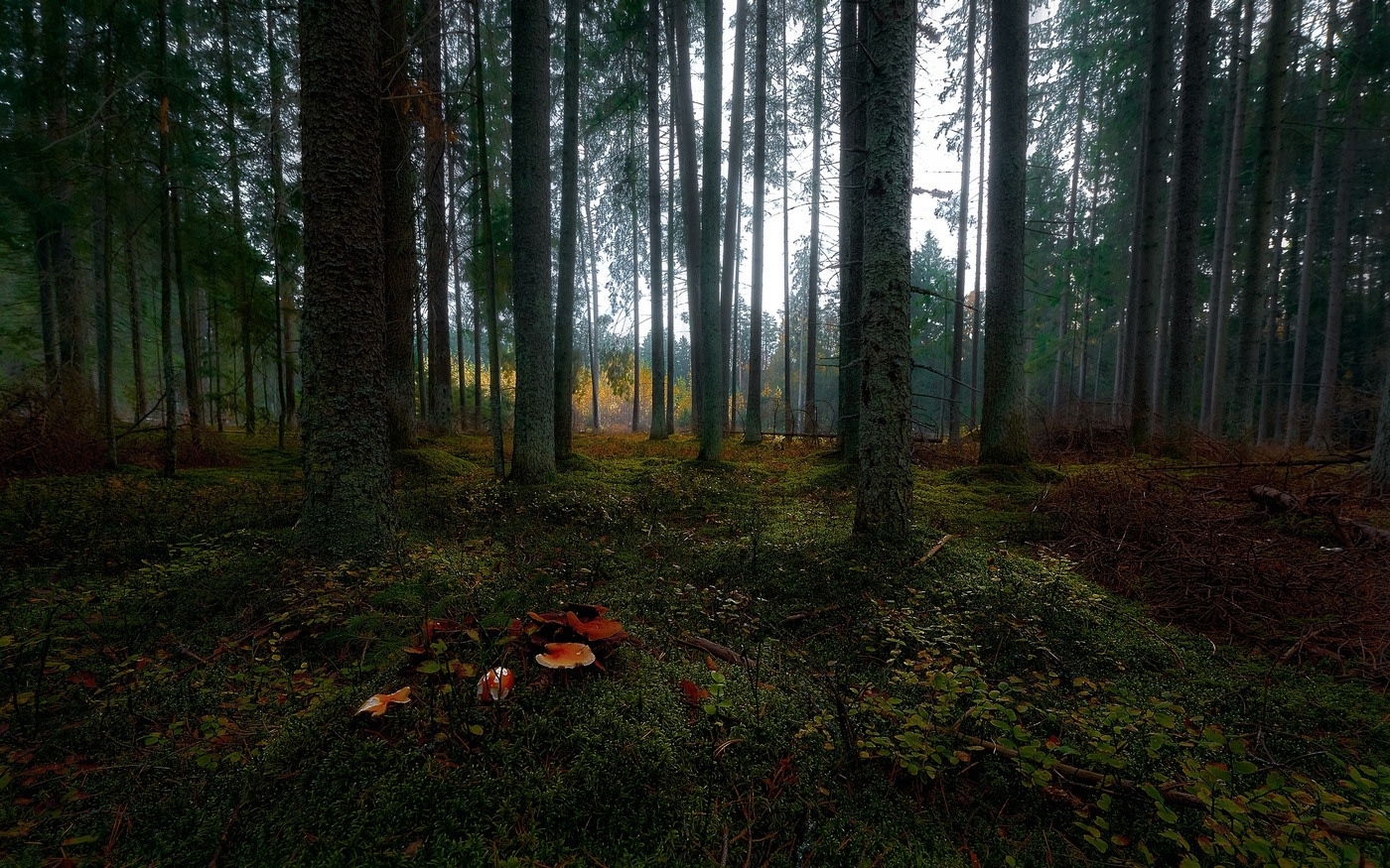 Der Geruch des Herbstes