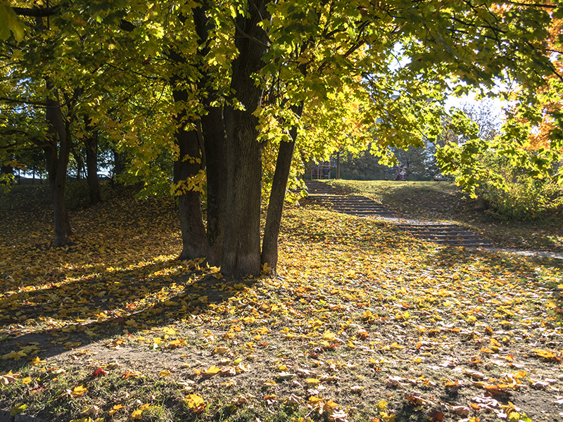 Der Geruch des Herbstes