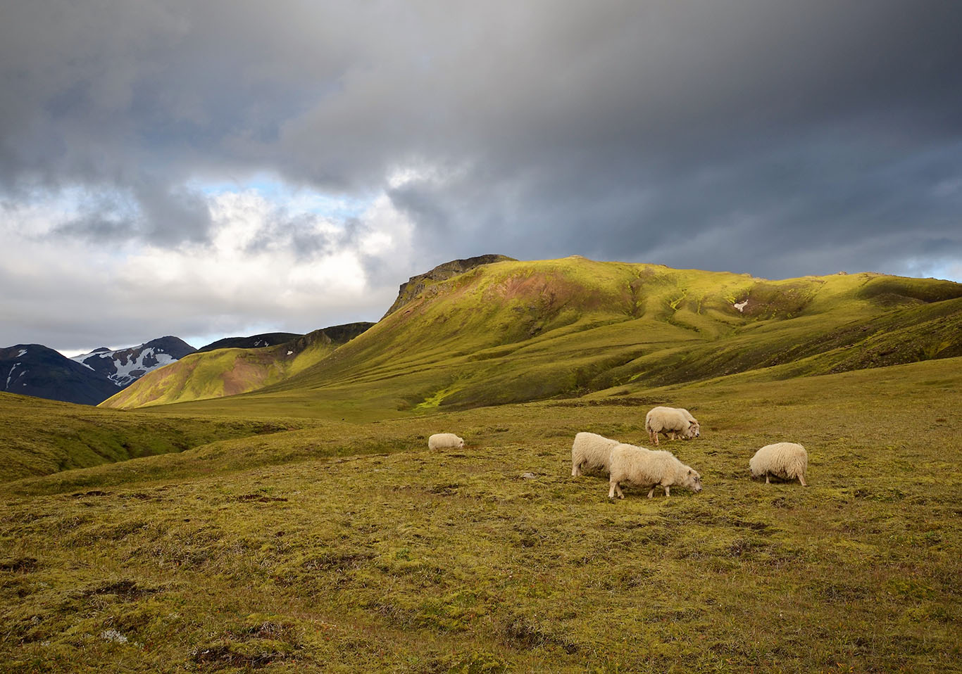 Isländische pastoralen