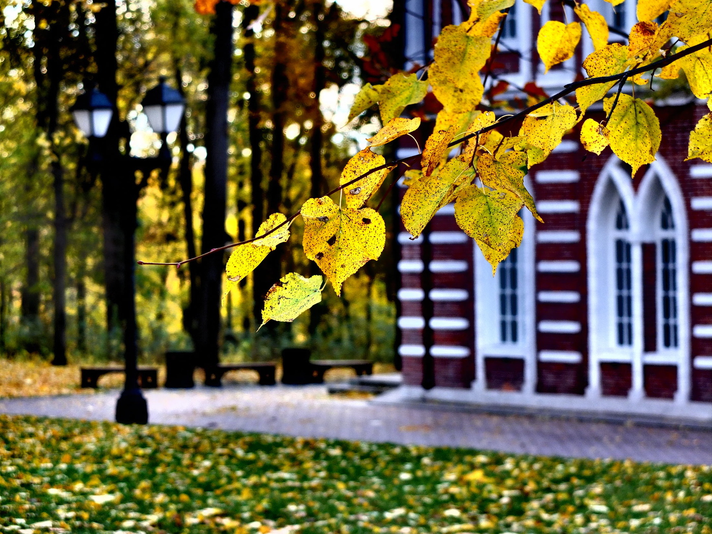 Der Geruch des Herbstes