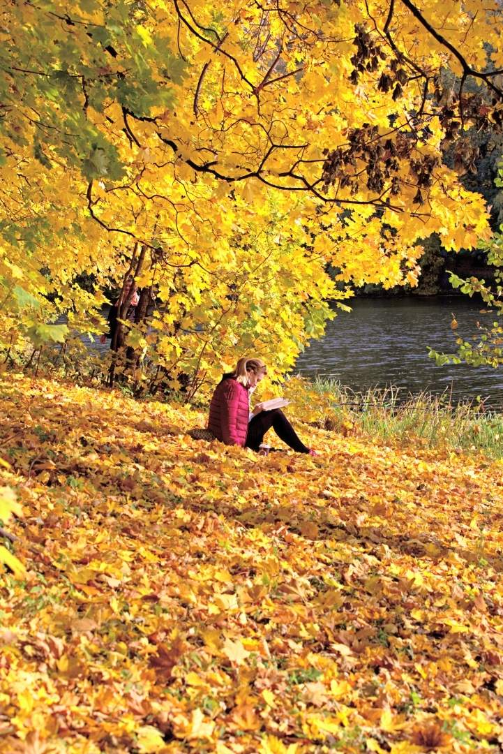 Der Geruch des Herbstes