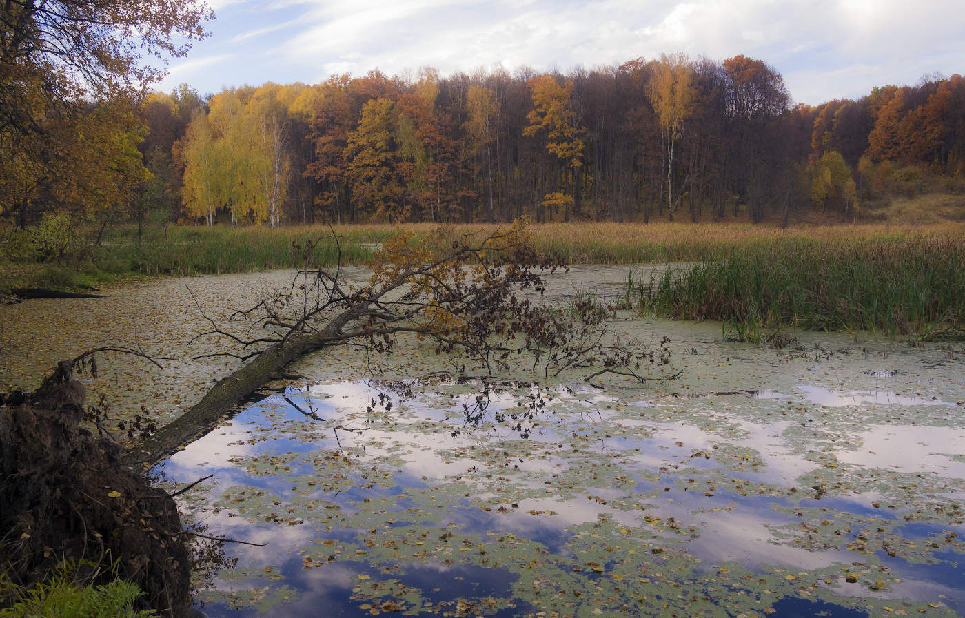 Walk in goldenen Herbst
