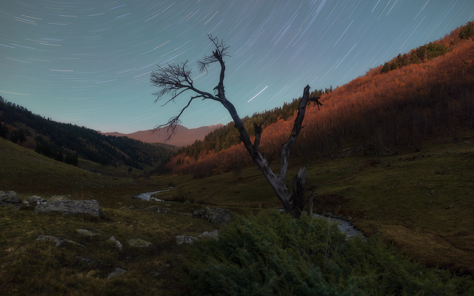 The voice of the stars