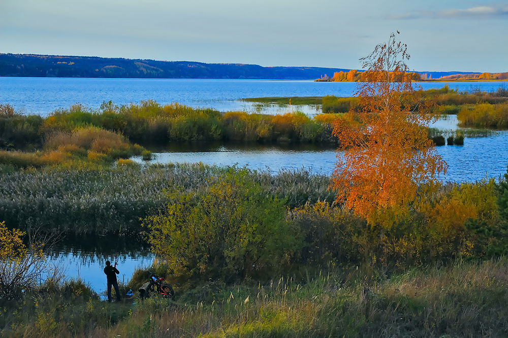 Herbstfarben der Natur.