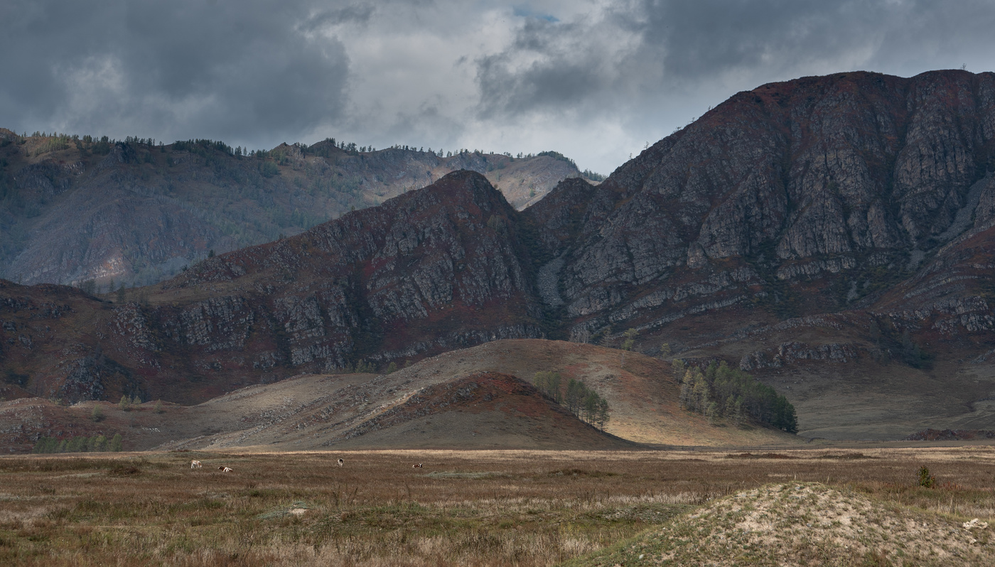 Autumn Altai