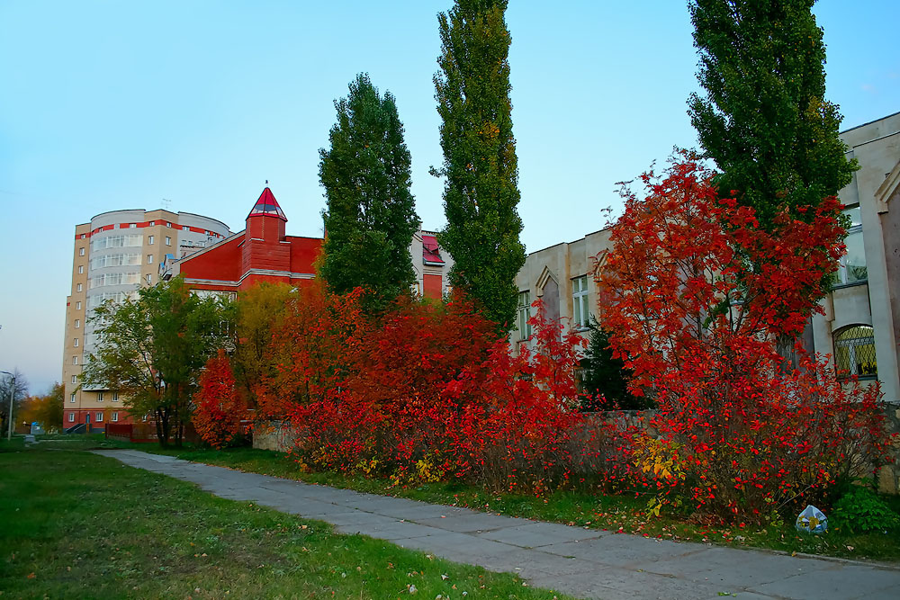 Herbstfarben der Natur.