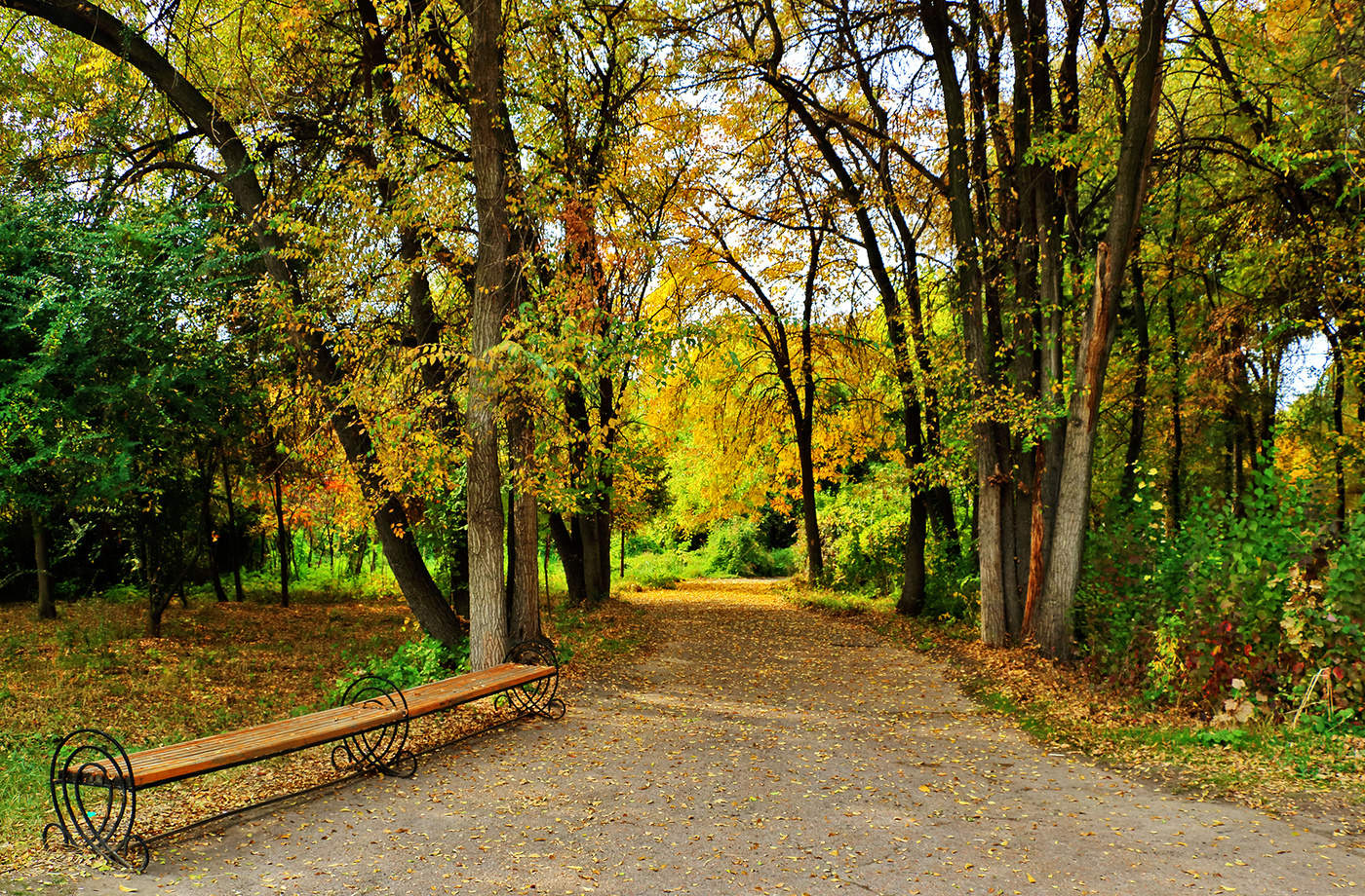 HerbstAllee