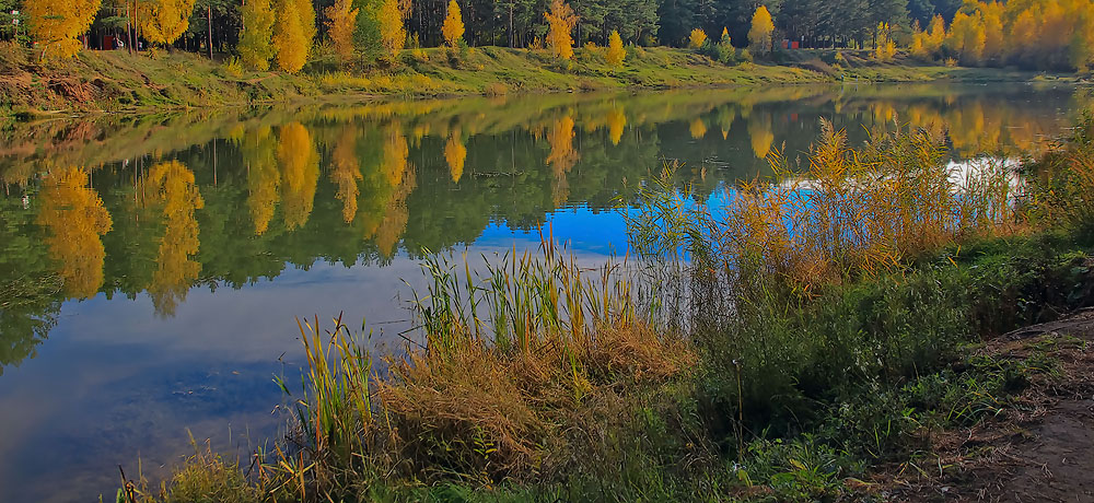 Herbstfarben der Natur.