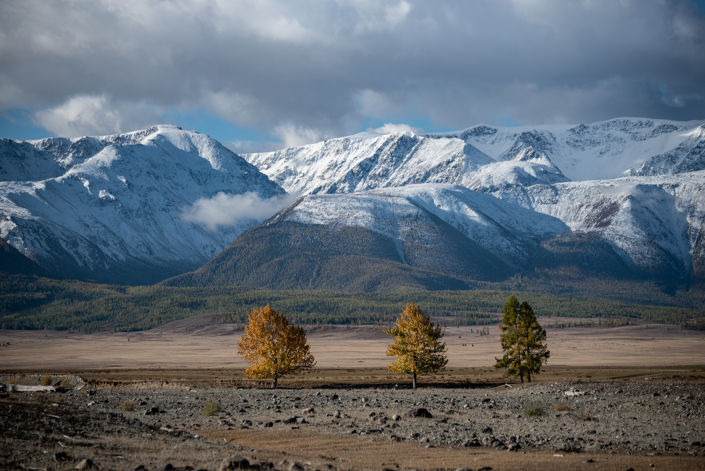Autumn Altai