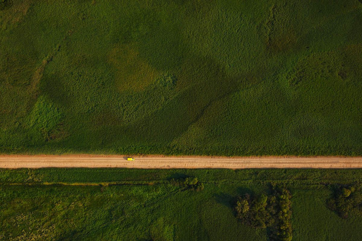 50 Schattierungen von Grün