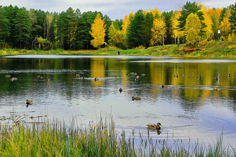 Herbstfarben der Natur.
