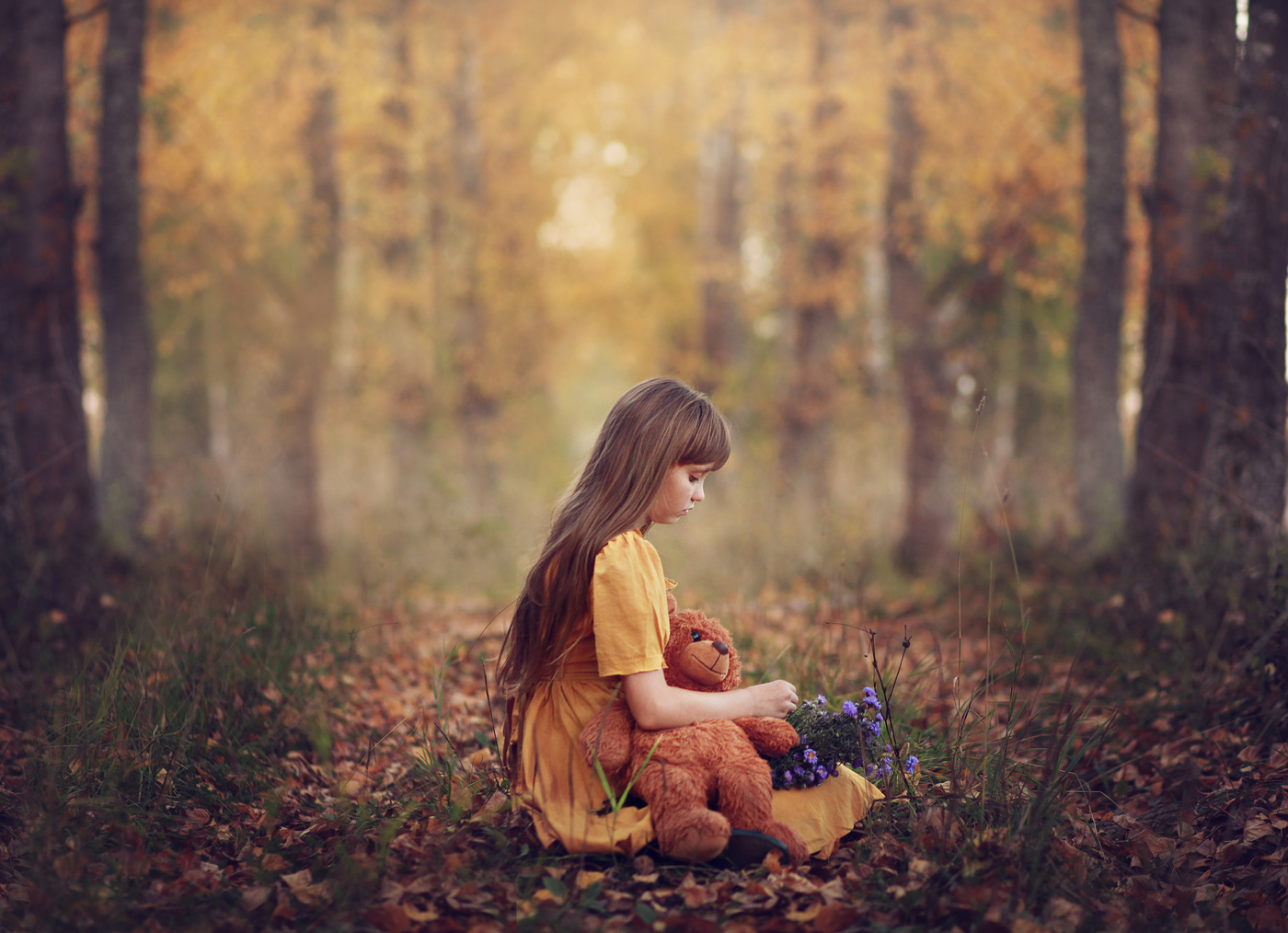 in den herbstlichen Wald