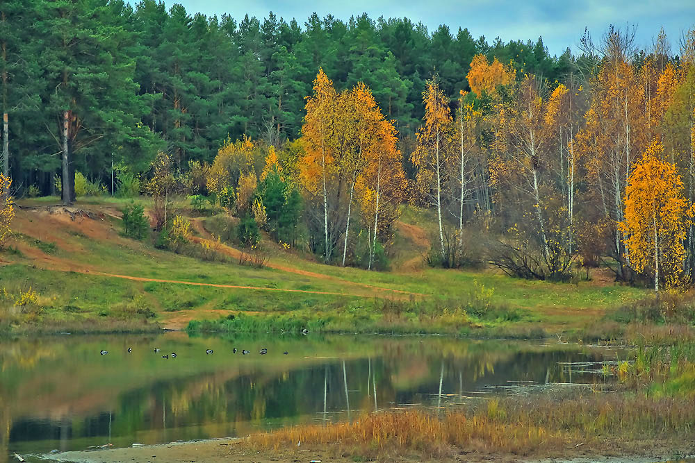 Herbstfarben der Natur.