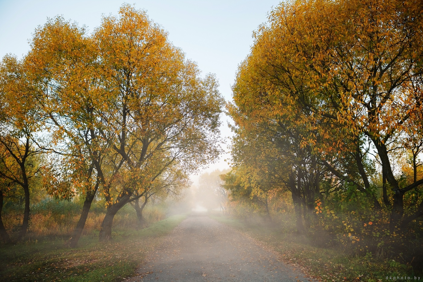 Straße im Nebel
