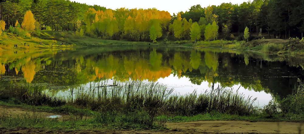 Herbstfarben der Natur.