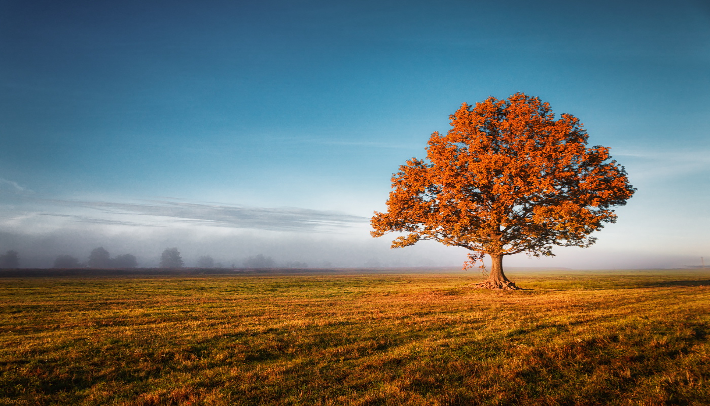 Wenn gegangenes Mist