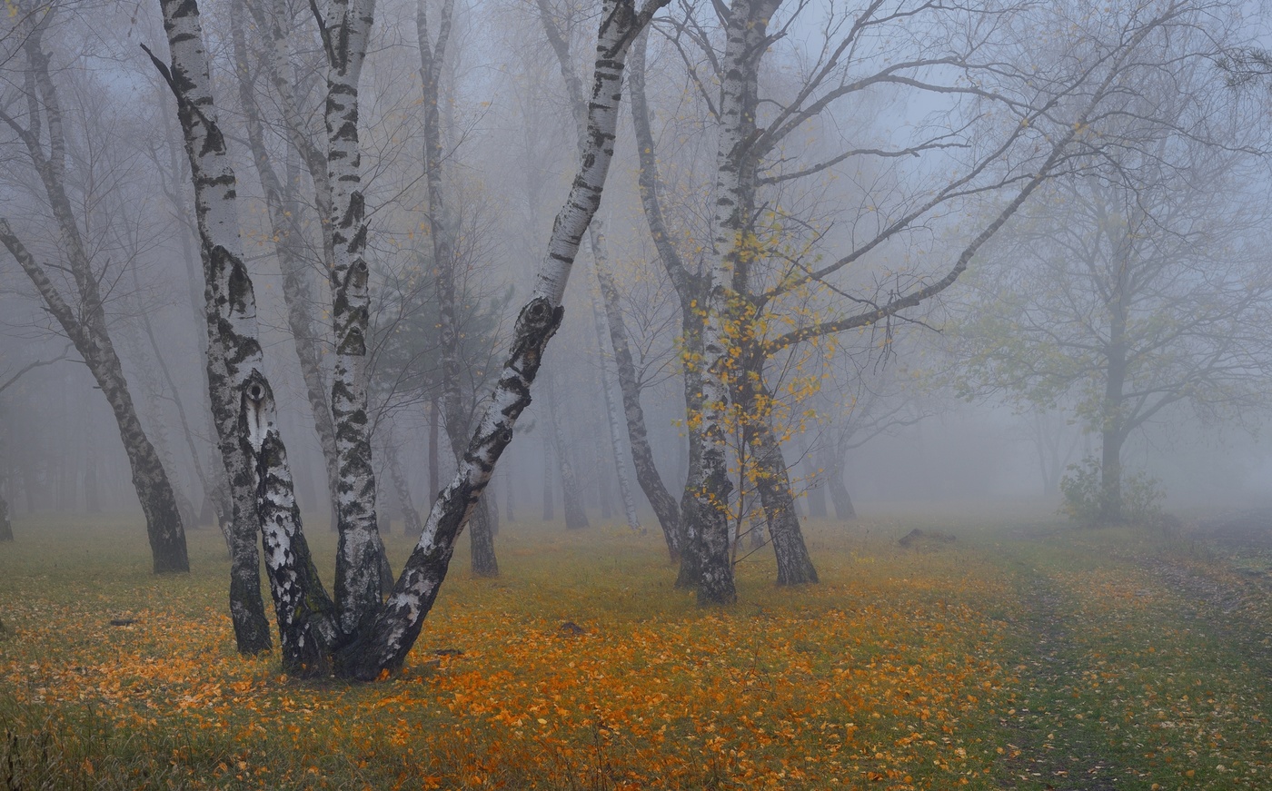 Misty Herbst
