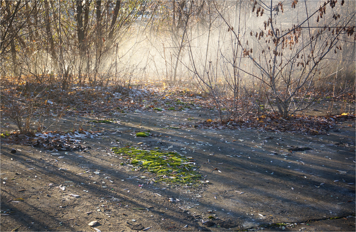 Erster Tag des Monats November