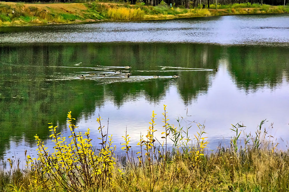 Herbstfarben der Natur.