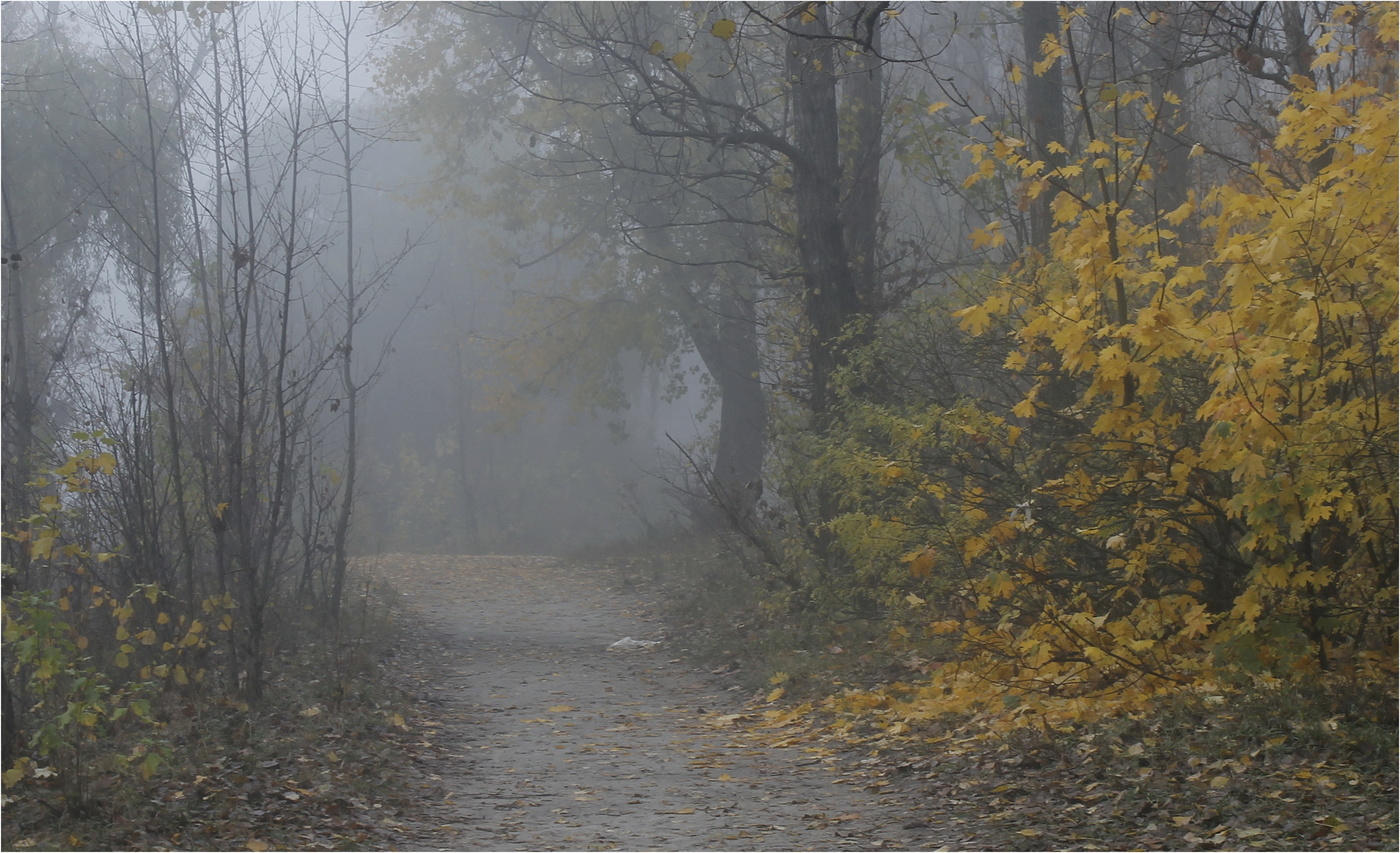 Misty Morgen, Morgen sedoe ...