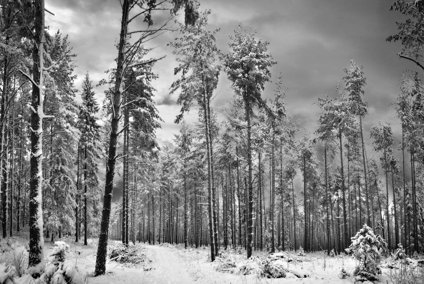 eine andere Welt ...