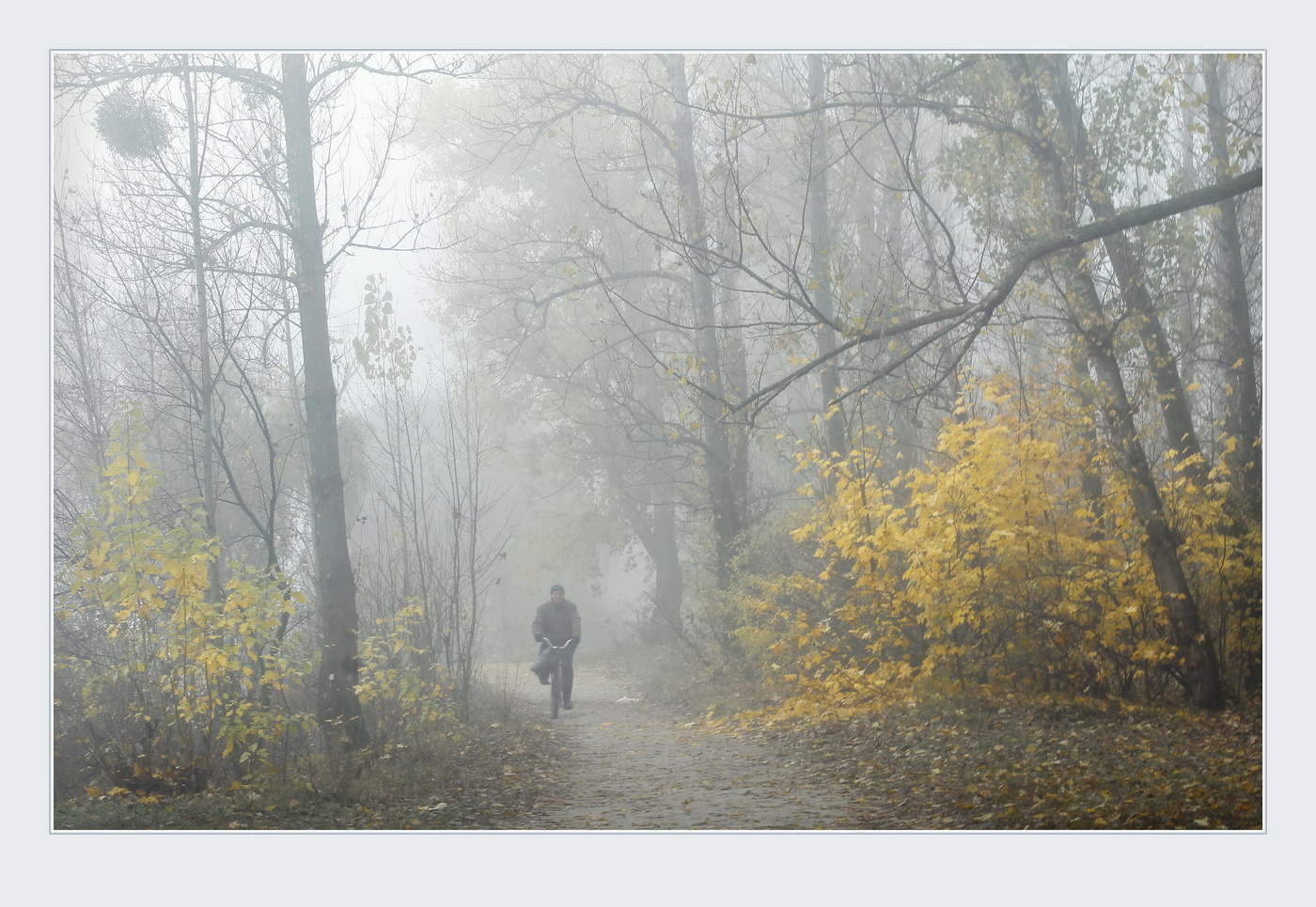 Der Geruch des Herbstes