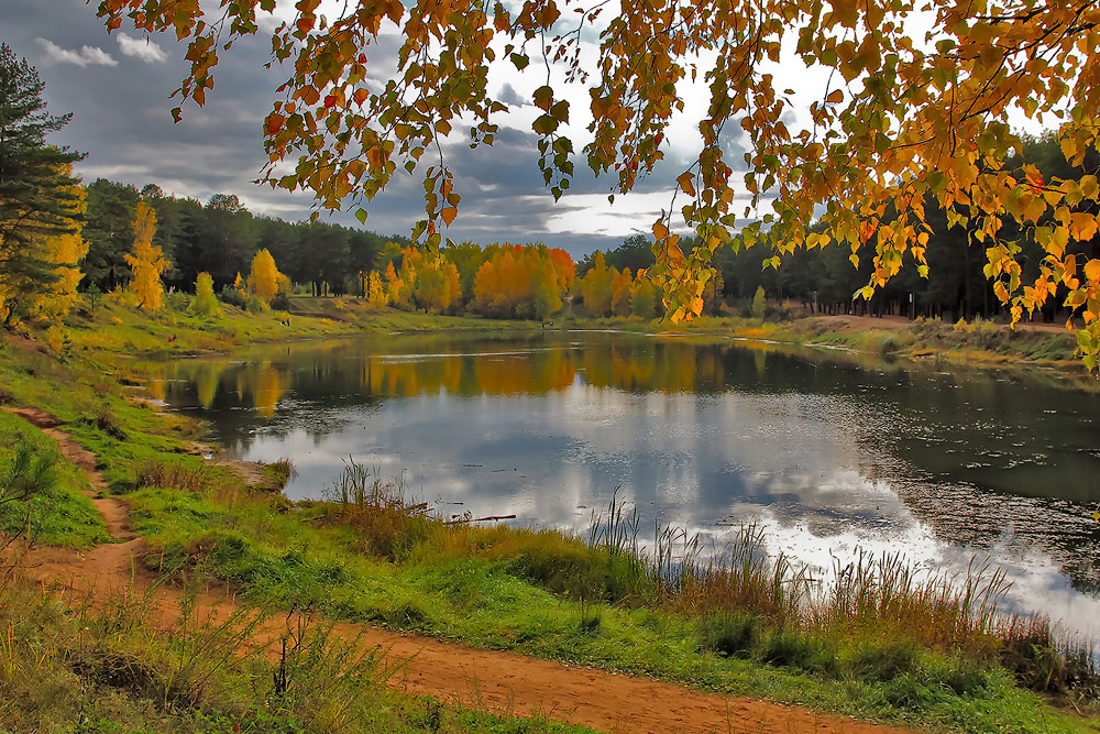 Herbstfarben der Natur.
