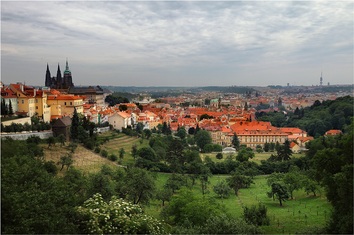 Prag
