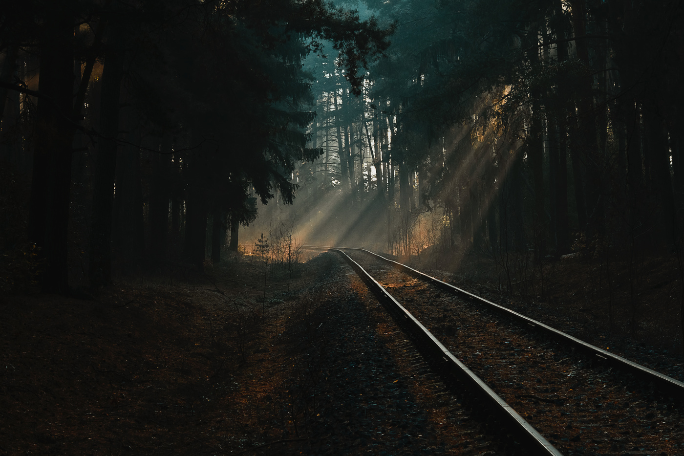 Durch die Dunkelheit