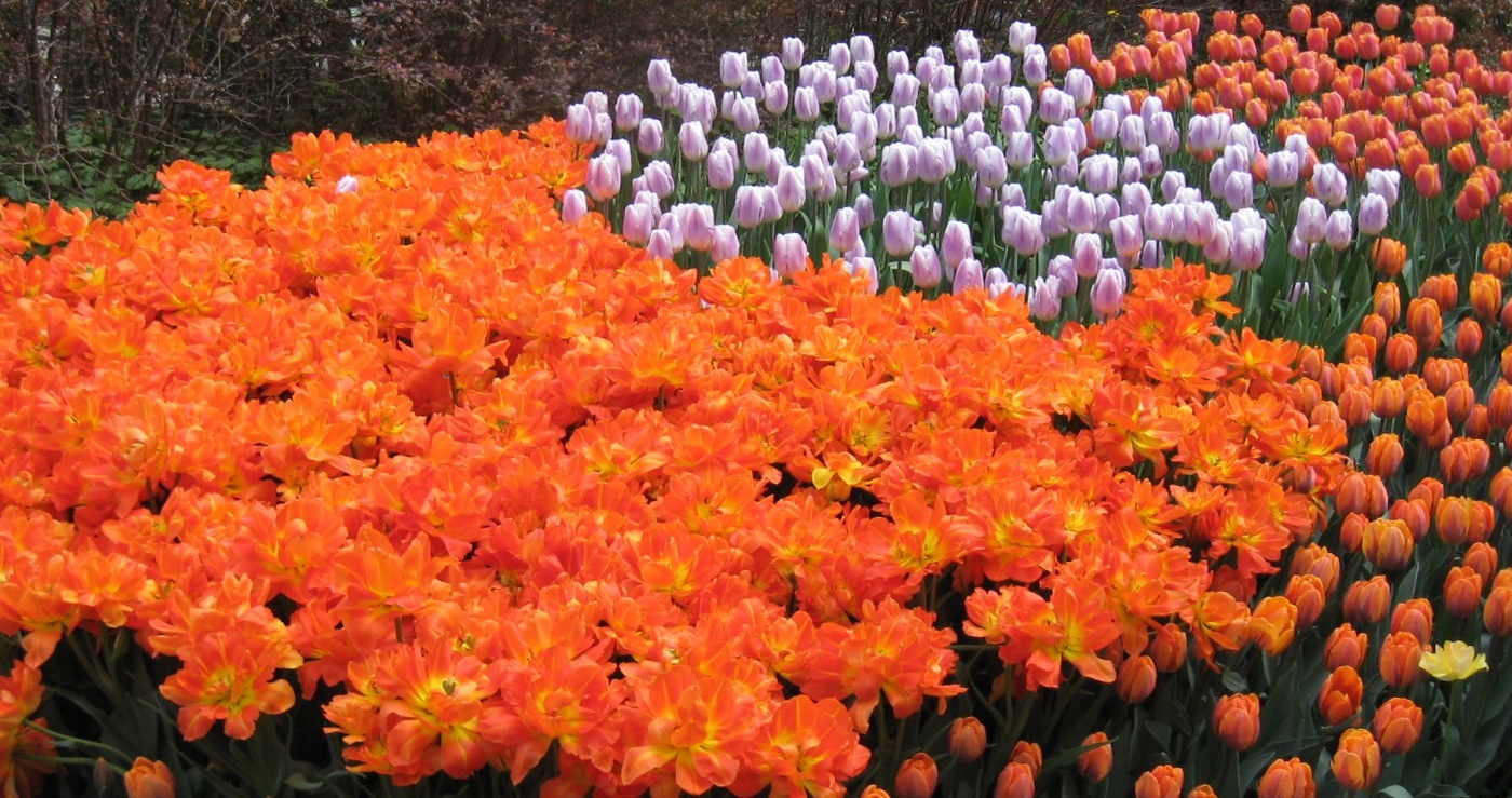 Erinnerungen an den Sommer