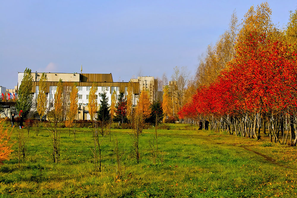 Herbstfarben der Natur.