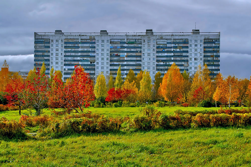 Herbstfarben der Natur.