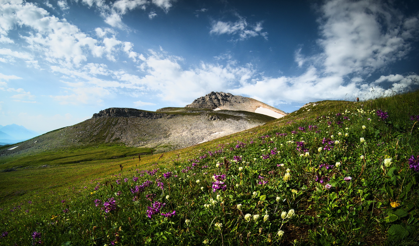 Sommer in den Bergen
