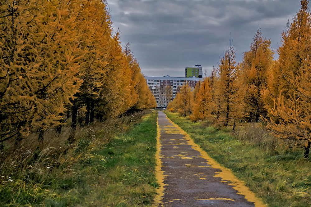 Herbstfarben der Natur.