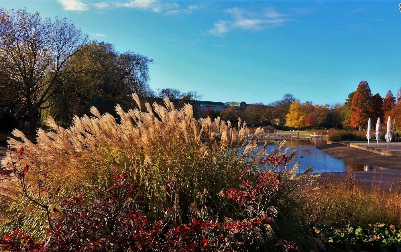Planten un Blomen Hamburg