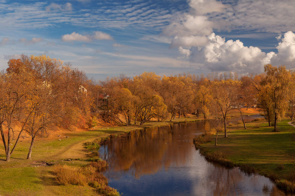 Im Herbst des Parks ...