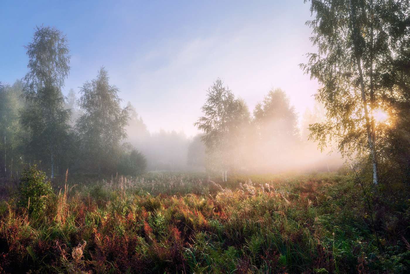 Nebel am frühen Morgen im September