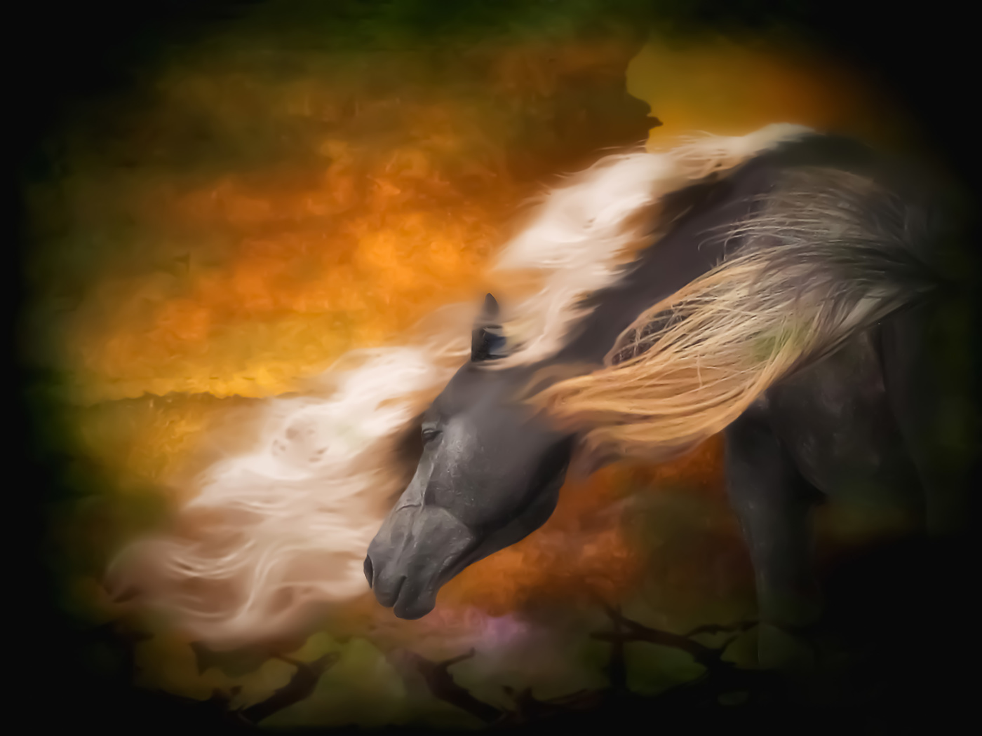 horse in the wind