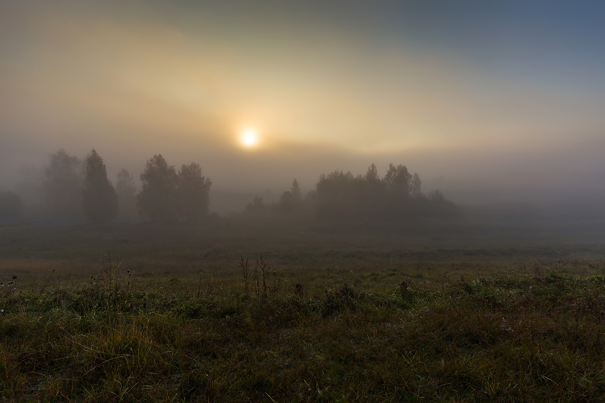 Morgennebel