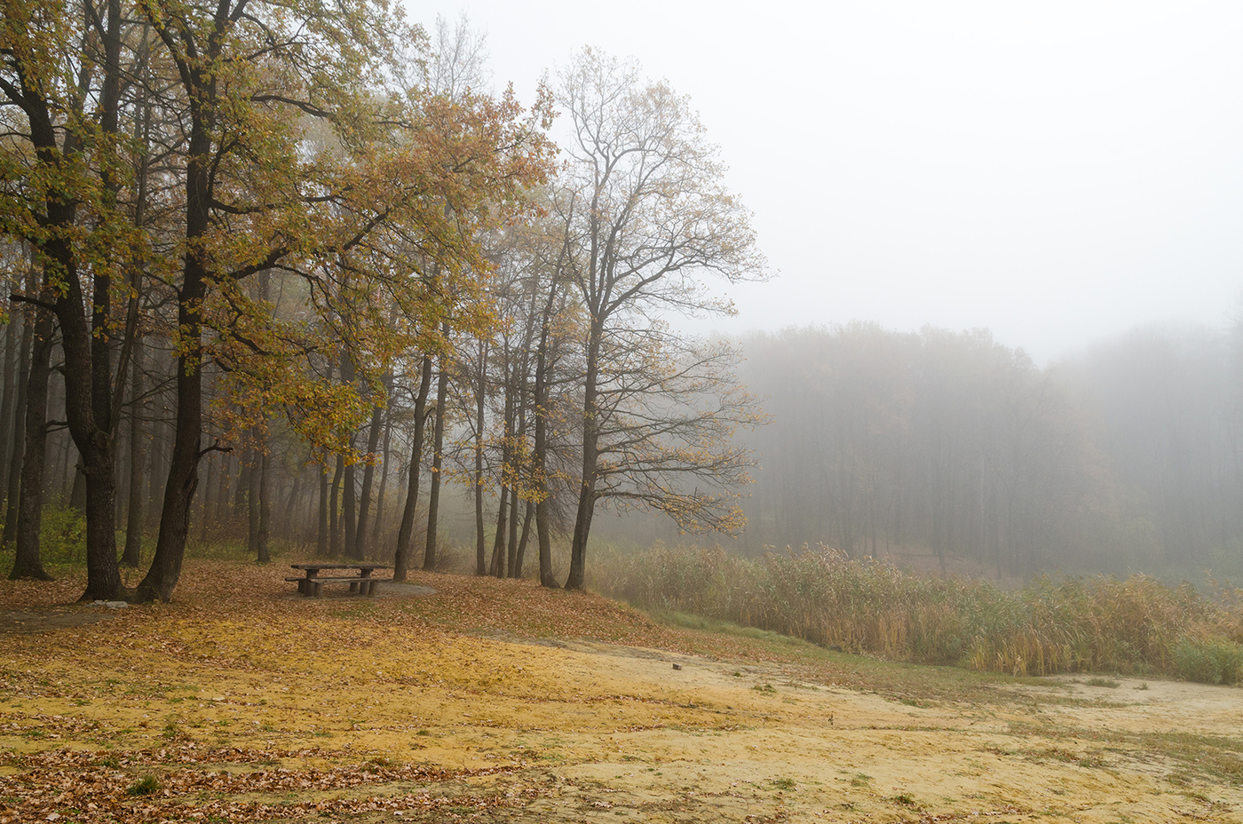 "Осеннее утро"